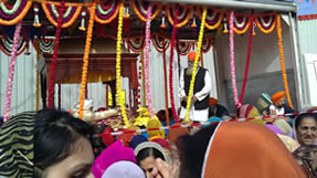 Viasakhi picture